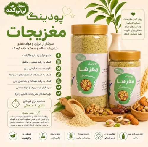 پودینگ ۴ مغز ارگانیک